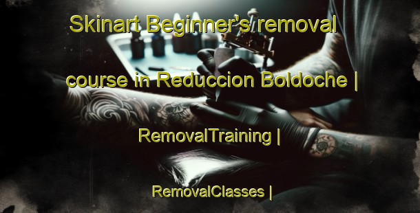 Skinart Beginner's removal course in Reduccion Boldoche | RemovalTraining | RemovalClasses | SkinartTraining-Chile
